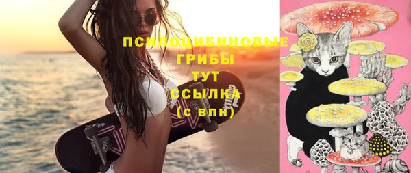 mdpv Нягань