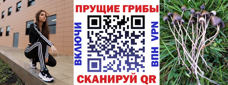 Галлюциногенные грибы ЛСД  Купить  Брянск 